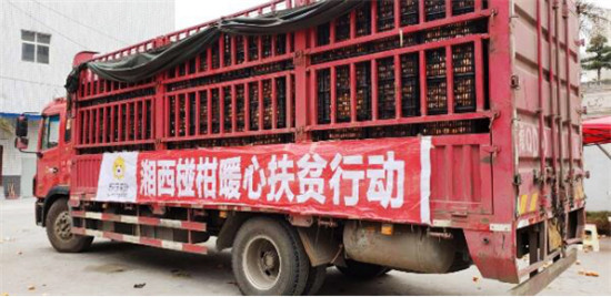 “95后”湘西少年返鄉(xiāng)助脫貧：搭上蘇寧拼購快車，做甜美事業(yè)