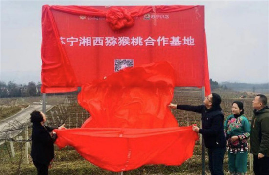 “95后”湘西少年返鄉(xiāng)助脫貧：搭上蘇寧拼購快車，做甜美事業(yè)