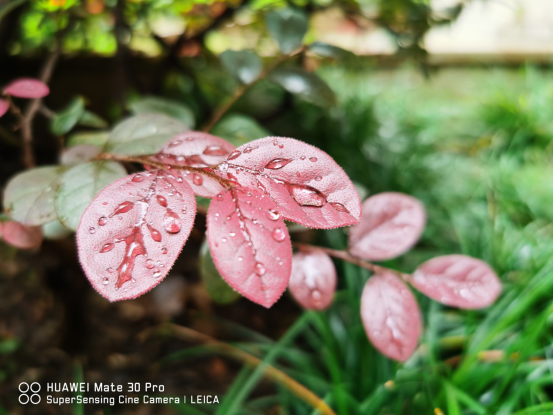 華為Mate30 Pro首發(fā)體驗，徠卡電影四攝讓你欲罷不能