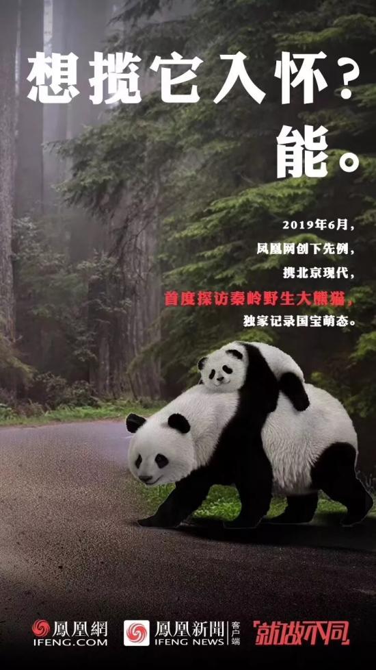 “就做不同”的背后，看鳳凰網(wǎng)的營銷進(jìn)階之路