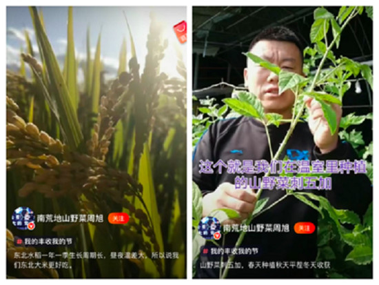 火山小視頻與吉林“致富合伙人”計劃收官 百位合伙人直播售賣家鄉(xiāng)農(nóng)產(chǎn)品