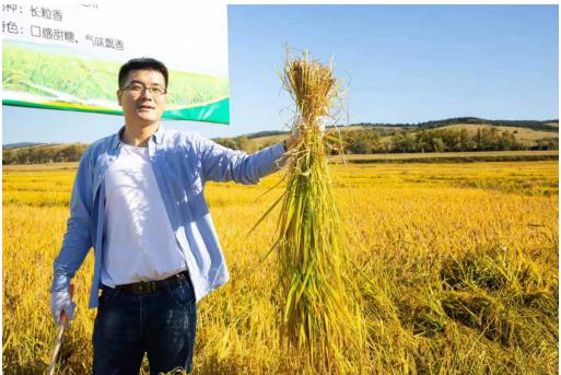從火種到燎原，斑馬會(huì)員“中國(guó)田”助農(nóng)扶貧的600多個(gè)日夜