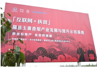 一年有一半的工作時間都在到處飛，他們在謀劃什么大事？