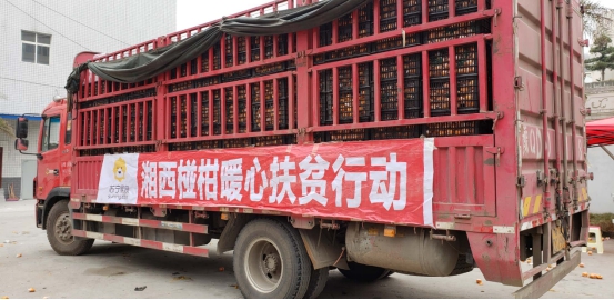 一年有一半的工作時間都在到處飛，他們在謀劃什么大事？