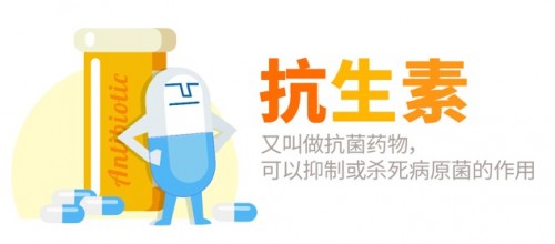 Life-Space益生菌要怎么吃，發(fā)揮大功效食用有講究