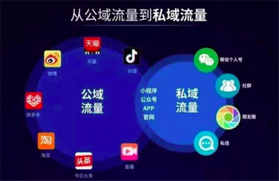 垂類直播電商領航者