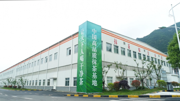 抹茶研究院帶你了解，如何判斷抹茶品質下降？