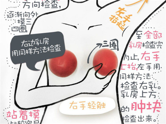 關(guān)愛乳房情系粉紅絲帶，劉燕釀制助力女性健康