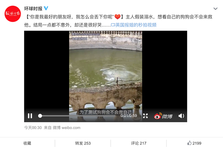 鏟屎官們注意了，萌寵又到了換毛季，家人的健康要時(shí)刻關(guān)注