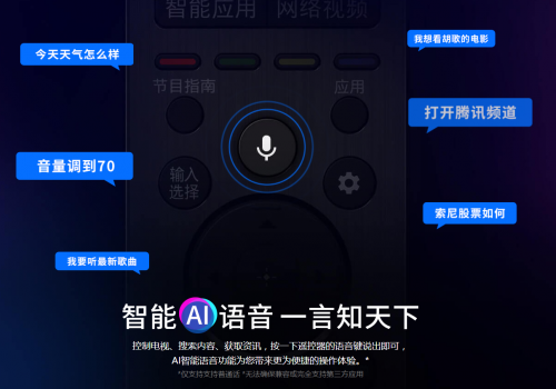 未來(lái)已來(lái)智能先行 索尼A9G入選《2019中國(guó)汰舊換優(yōu)電視選購(gòu)指南》