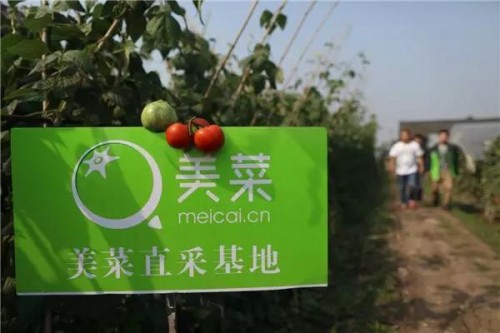 美菜與開(kāi)元酒店集團(tuán)達(dá)成戰(zhàn)略合作，打造采購(gòu)新模式為行業(yè)賦能