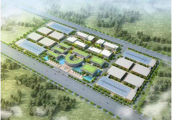 政企合力助推健康中國，金天國際生態(tài)果素項目建設(shè)提速