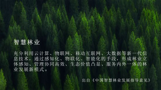云途騰打造林業(yè)云標(biāo)桿，加速智慧林業(yè)進(jìn)程