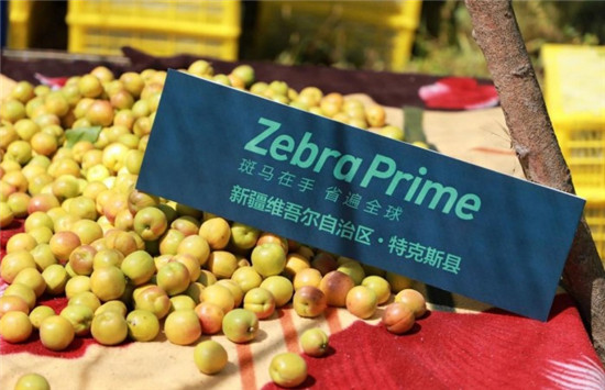 斑馬會(huì)員攜手新疆果業(yè)集團(tuán)，共助當(dāng)?shù)剞r(nóng)特產(chǎn)線上發(fā)展