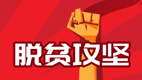 積極發(fā)揮行業(yè)優(yōu)勢，斗米“互聯(lián)網+”模式助力精準脫貧攻堅
