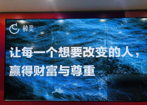 入職甩甩寶寶第一天公司居然要她招募5萬(wàn)驗(yàn)貨官