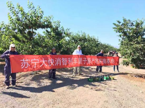 蘇寧包機(jī)直采智利車?yán)遄?，原產(chǎn)地直采戰(zhàn)略再升級