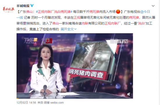 正規(guī)肉聯(lián)廠“洗白”病死豬？時邁科技區(qū)塊鏈新技術堵住漏洞