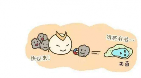 DR.HS澳洲赫醫(yī)生乳鐵蛋白：以匠心成就品質(zhì)，以有機助力成長