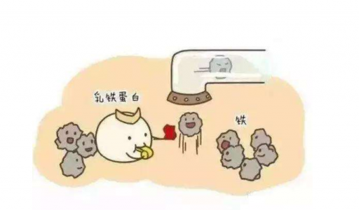 DR.HS澳洲赫醫(yī)生乳鐵蛋白：以匠心成就品質(zhì)，以有機助力成長