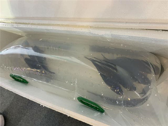 順豐、京東、中通、德邦、百世、蘇寧、菜鳥等名企炫技！物流人的飯碗還保得住嗎？