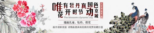 家里掛花鳥畫好嗎？丁珂手繪牡丹國畫，掛在家里好看又吉祥