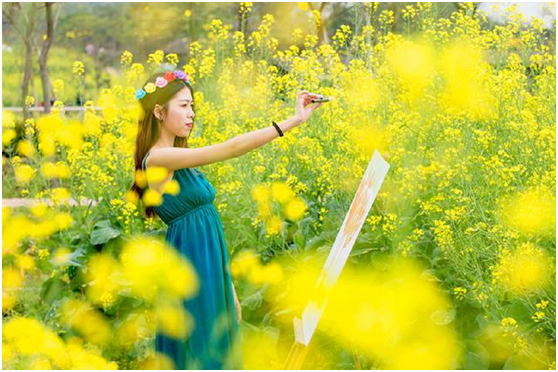 美好生活不止詩(shī)和遠(yuǎn)方，還有盈香生態(tài)園的繽紛花花世界