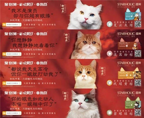 杭州碧橙三度蟬聯(lián)天貓六星，四招助力品牌數(shù)字化升級