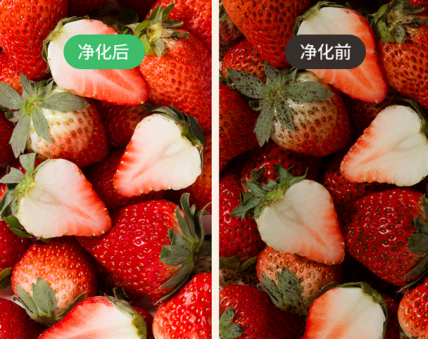 法格果蔬清洗機(jī)，清洗更“凈”一步