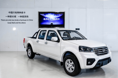 皮實耐用的民生車 風(fēng)駿5汽油國六將上市