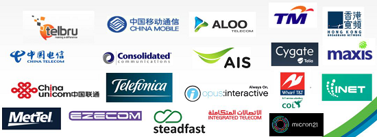 閃亮RSA，綠盟Cloud DPS打開(kāi)云端DDoS防護(hù)正確方式