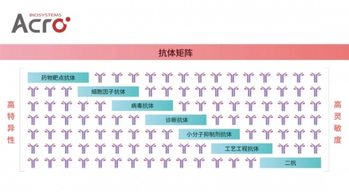 ACROBiosystems百普賽斯抗體矩陣再添新IFN-γ，助力加速生物藥研發(fā)上市進(jìn)程