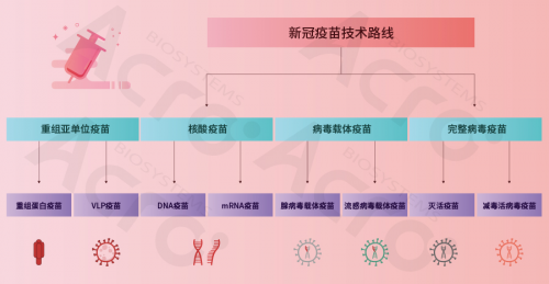 ACROBiosystems百普賽斯攜整體解決方案出席創(chuàng)新峰會(huì)，助力加速疫苗研發(fā)上市進(jìn)程