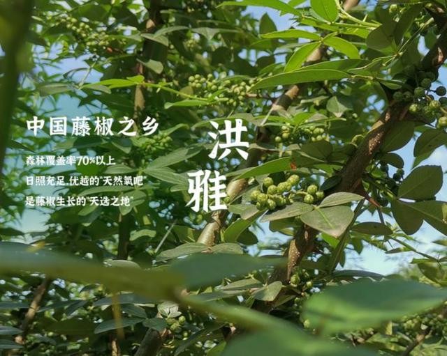 以熱愛(ài)傳承技藝，趙躍軍帶領(lǐng)幺麻子穩(wěn)居行業(yè)前沿