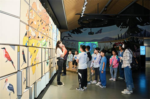龍湖小龍人計(jì)劃：研學(xué)旅行促成長，最美課堂在路上