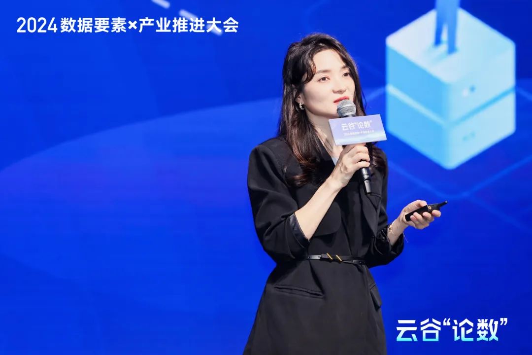 2024云谷“論數(shù)”：數(shù)據(jù)要素×產(chǎn)業(yè)的新要素，新業(yè)態(tài)，新增長