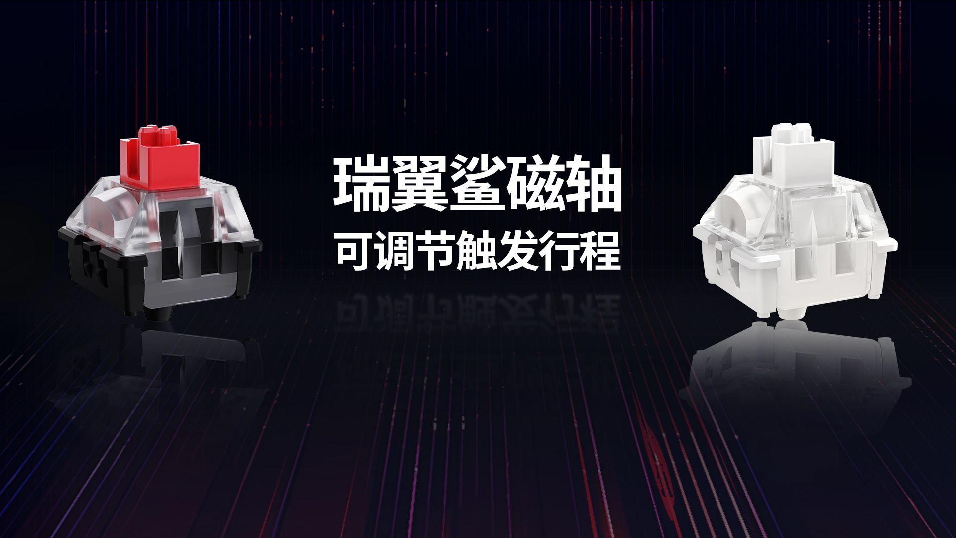 2024中國香港環(huán)球資源消費(fèi)電子展 瑞翼鯊RAESHA邀您共聚