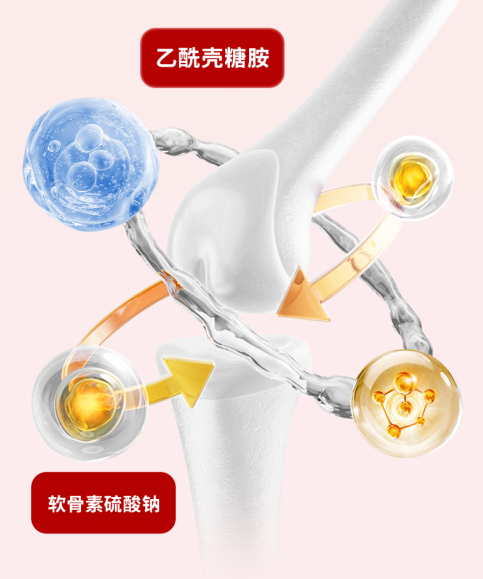外用氨糖哪個品牌好？選擇的關鍵點揭秘 EHRGOLS/健耐德大數據給推瘋了