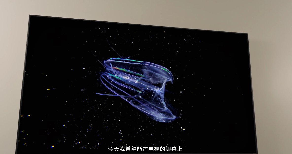海信電視聯(lián)合8KRAW攝影師，講述好畫質(zhì)的生命力