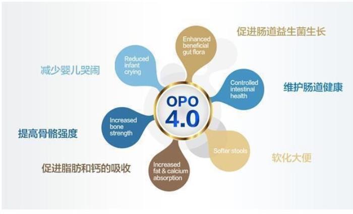 OPO在奶粉中的作用與功效有哪些？精準(zhǔn)科普助力選奶