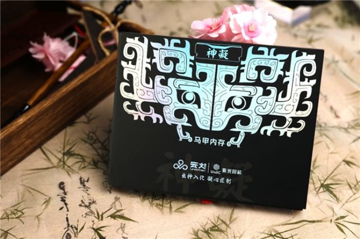 開箱評測丨銳龍7 9700X絕佳拍檔，神凝系列6000 CL28國風(fēng)內(nèi)存評測