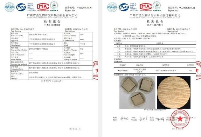 千年舟六維鋅效抗菌石墨烯生態(tài)板，開啟綠色家居新時代的「雙抗一防」