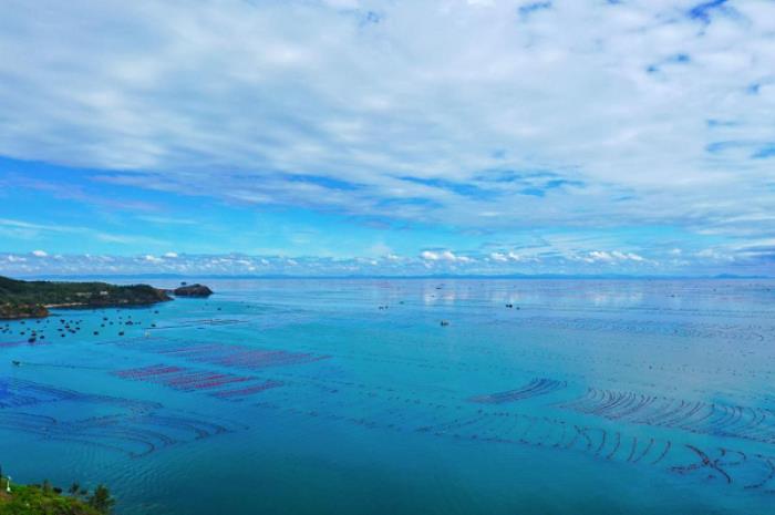 長海海螺，鮮味崛起，璀璨未來