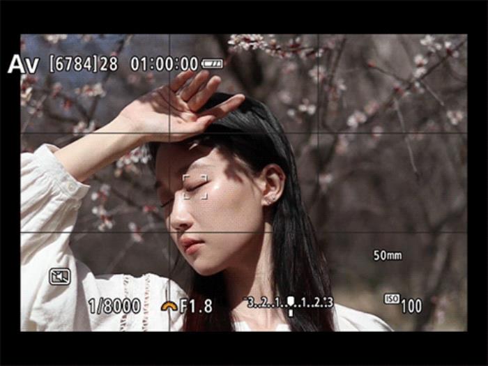 佳能EOS R50春日桃花人像實(shí)拍體驗(yàn)
