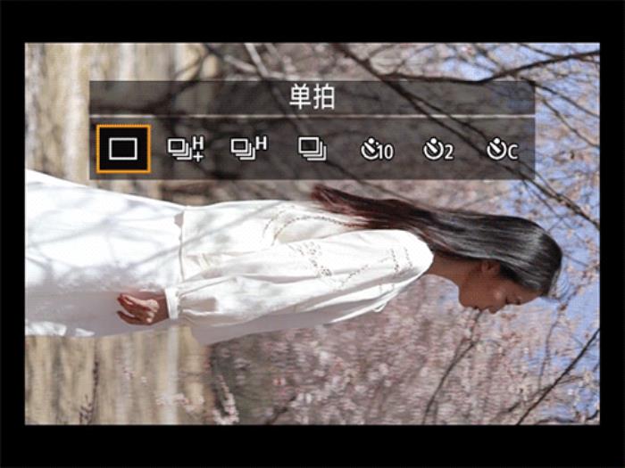 佳能EOS R50春日桃花人像實(shí)拍體驗(yàn)
