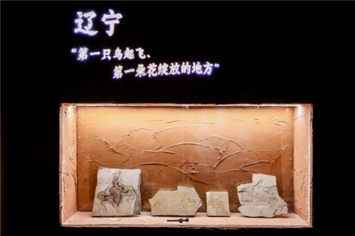 BOE（京東方）打造東北首個(gè)沉浸式數(shù)字藝術(shù)體驗(yàn)空間 科技解碼文明釋放數(shù)字文旅想象力
