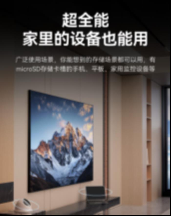 雷克沙推出Professional SILVER PLUS microSD存儲(chǔ)卡，滿足多種設(shè)備需求