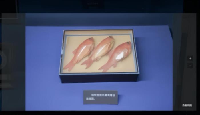如視x上海公安博物館：觀數(shù)字博物館，探公安輝煌史