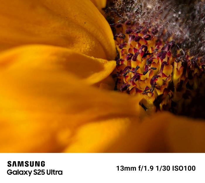 用鏡頭講述精彩故事 三星Galaxy S25系列影像沙龍落地上海