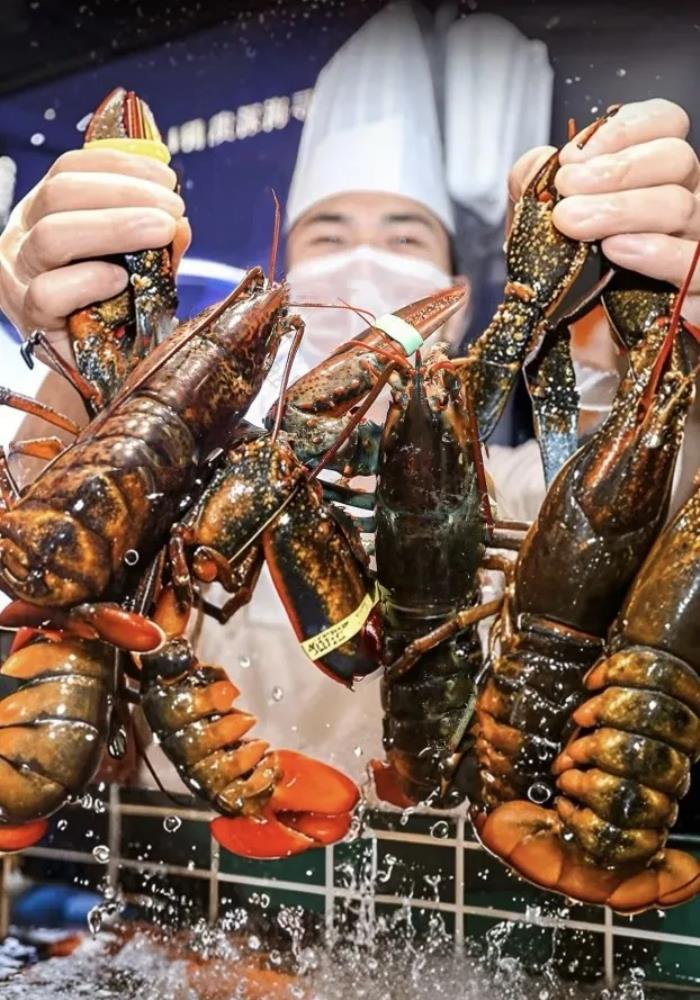 年輕人的假期續(xù)航包：把餐廳吃成“旅行試用裝”